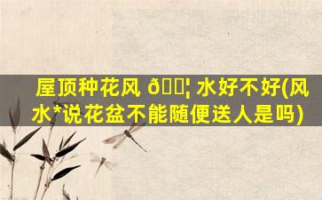 屋顶种花风 🐦 水好不好(风水*
说花盆不能随便送人是吗)